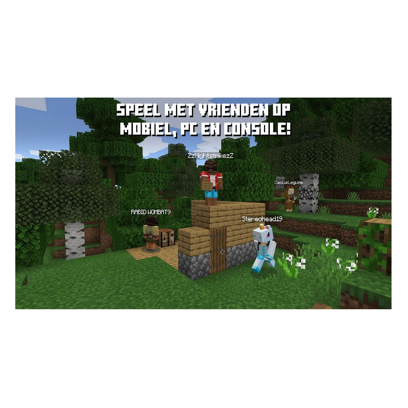 Nintendo Switch Minecraft