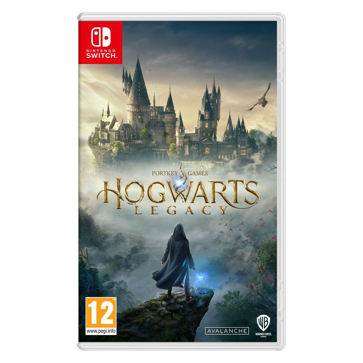 Nintendo Switch Hogwarts Legacy