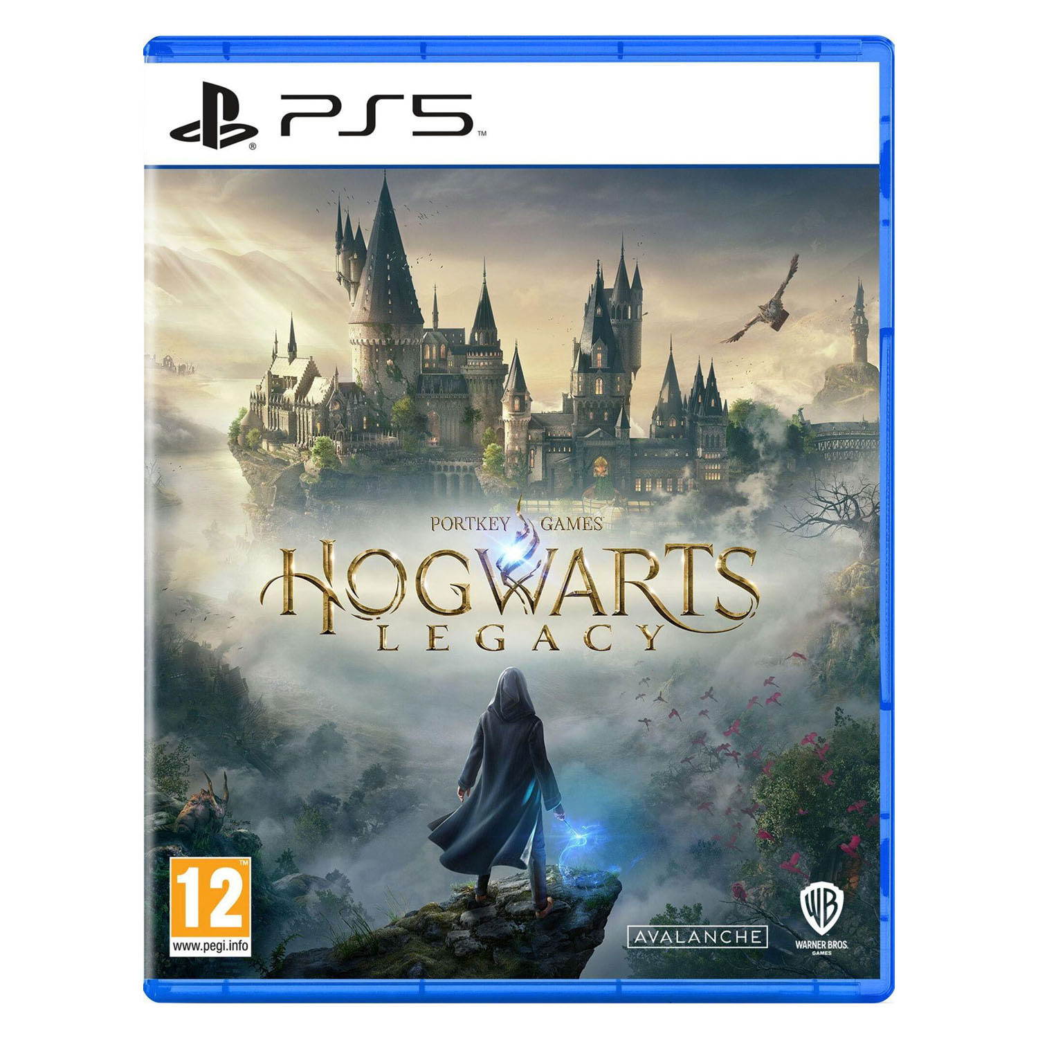 PS5 Hogwarts Legacy