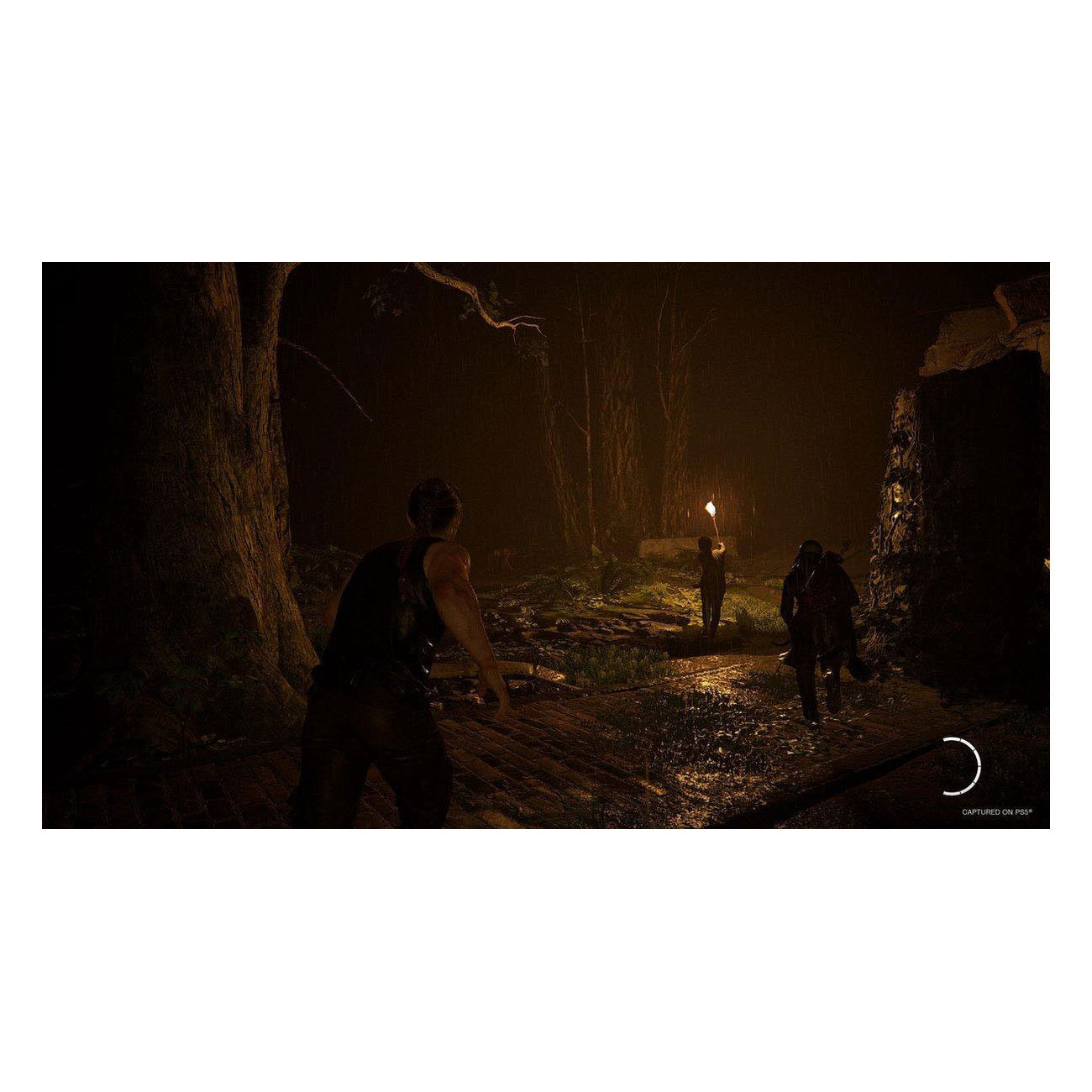 PS5 The Last of Us Part II Remastered