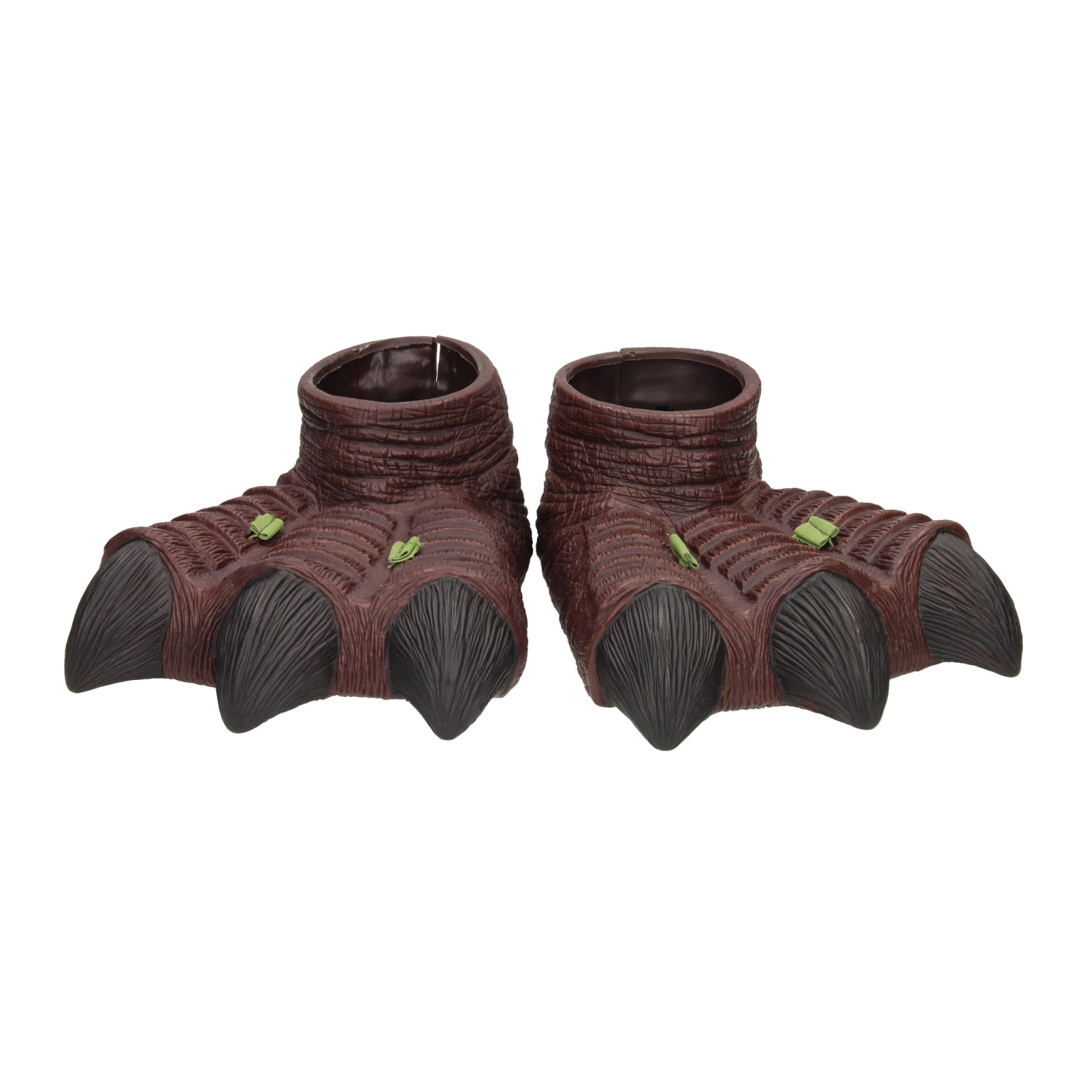 Pattes de dinosaure marron