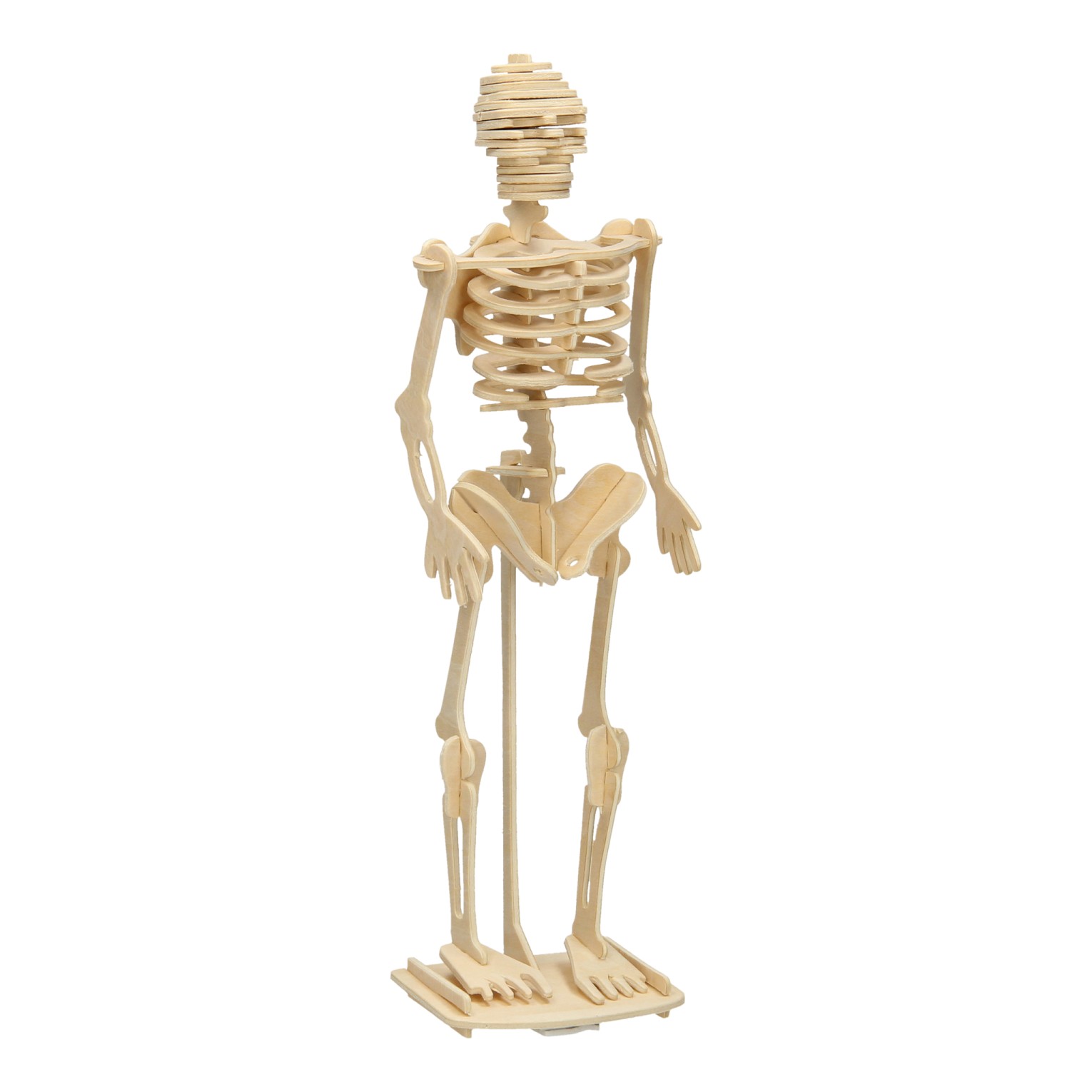 Petulance Krachtcel verbannen Houten Bouwpakket - Skelet online kopen? | Lobbes Speelgoed