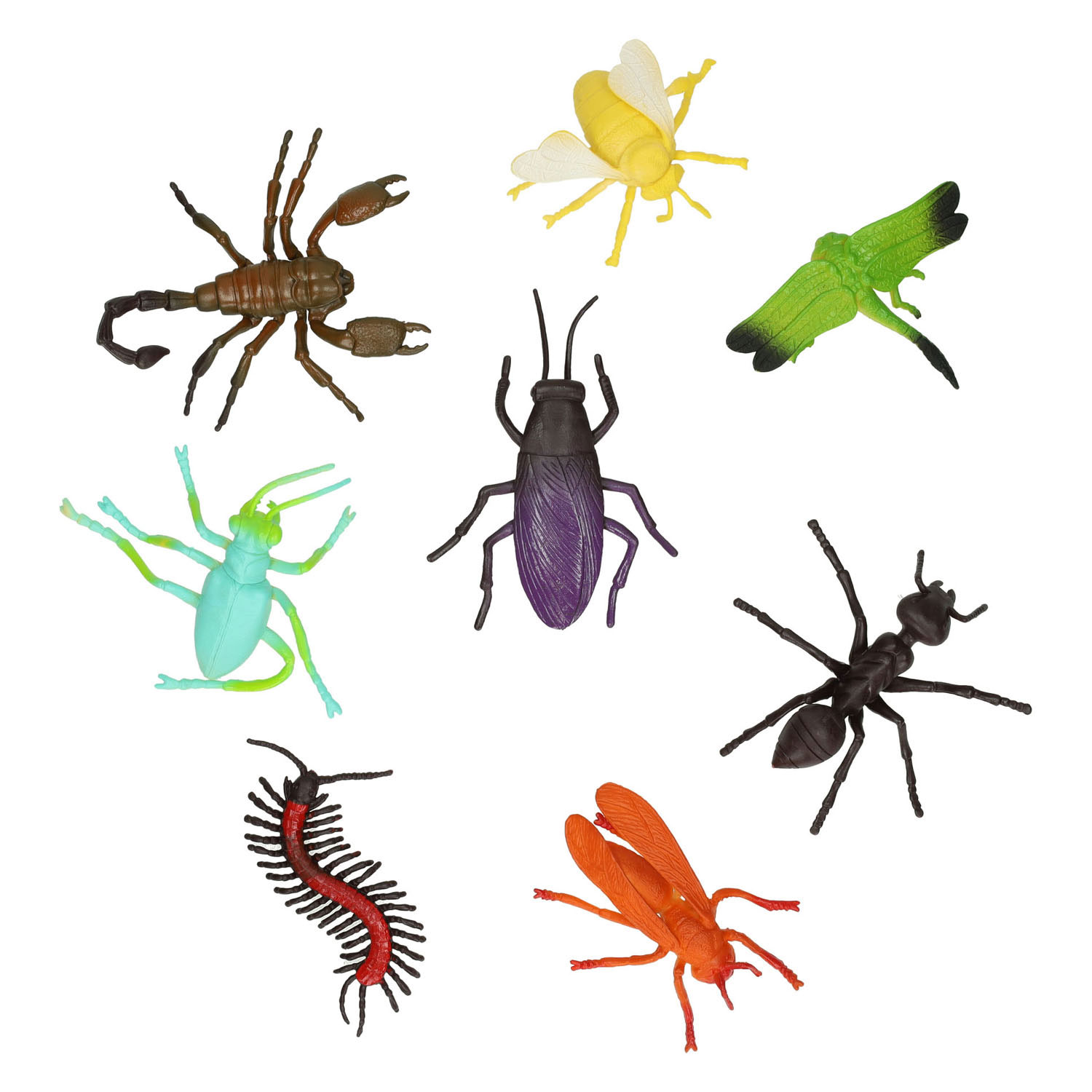 Insectes, 8 pièces
