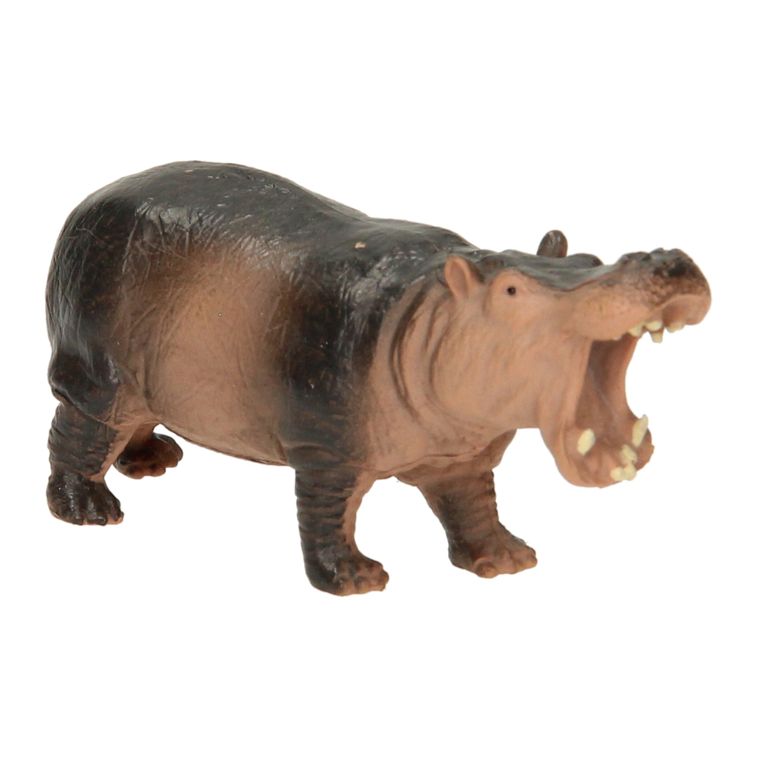 Collectionnez une figurine d'animal sauvage.