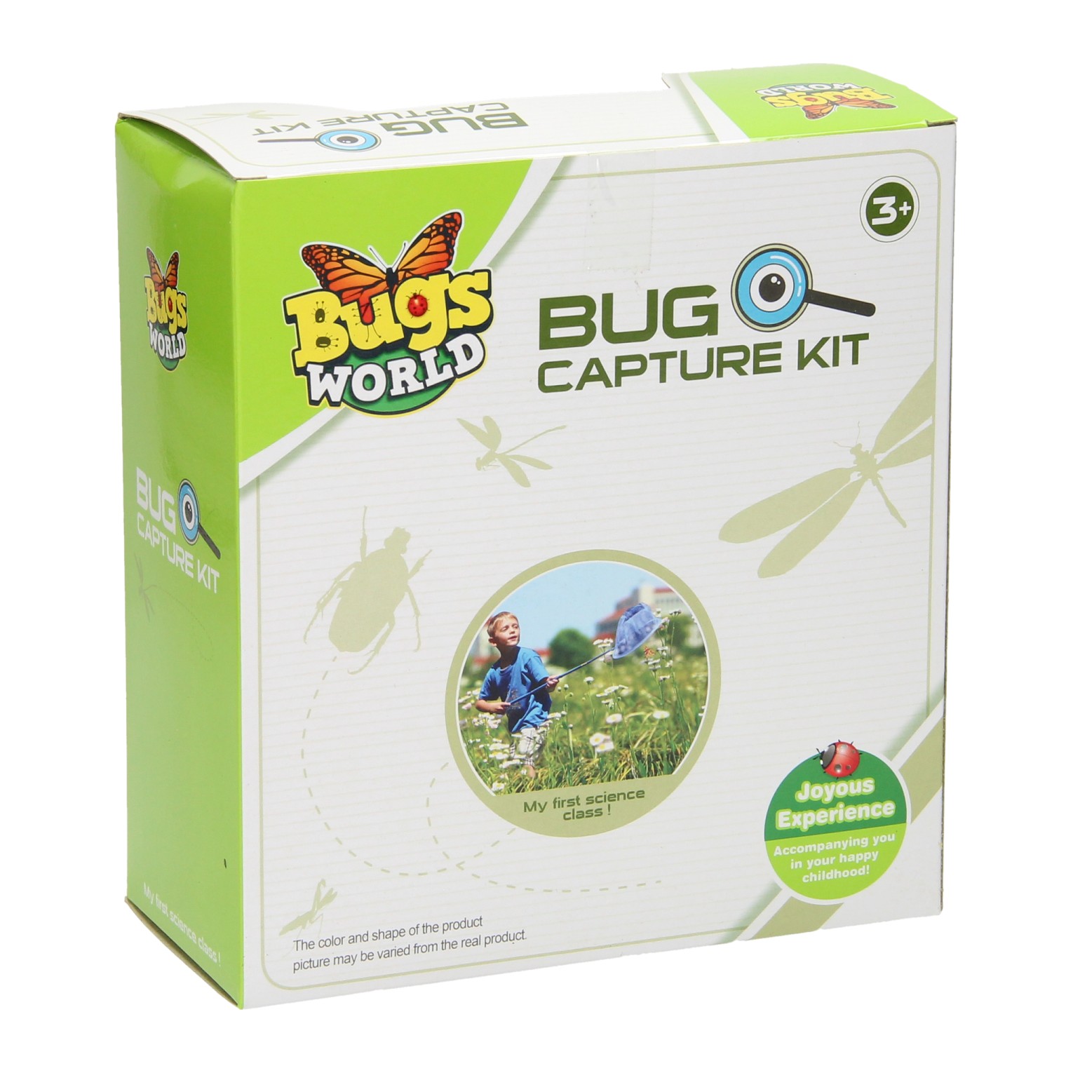 Ensemble de capture et d'observation d'insectes Bugs World