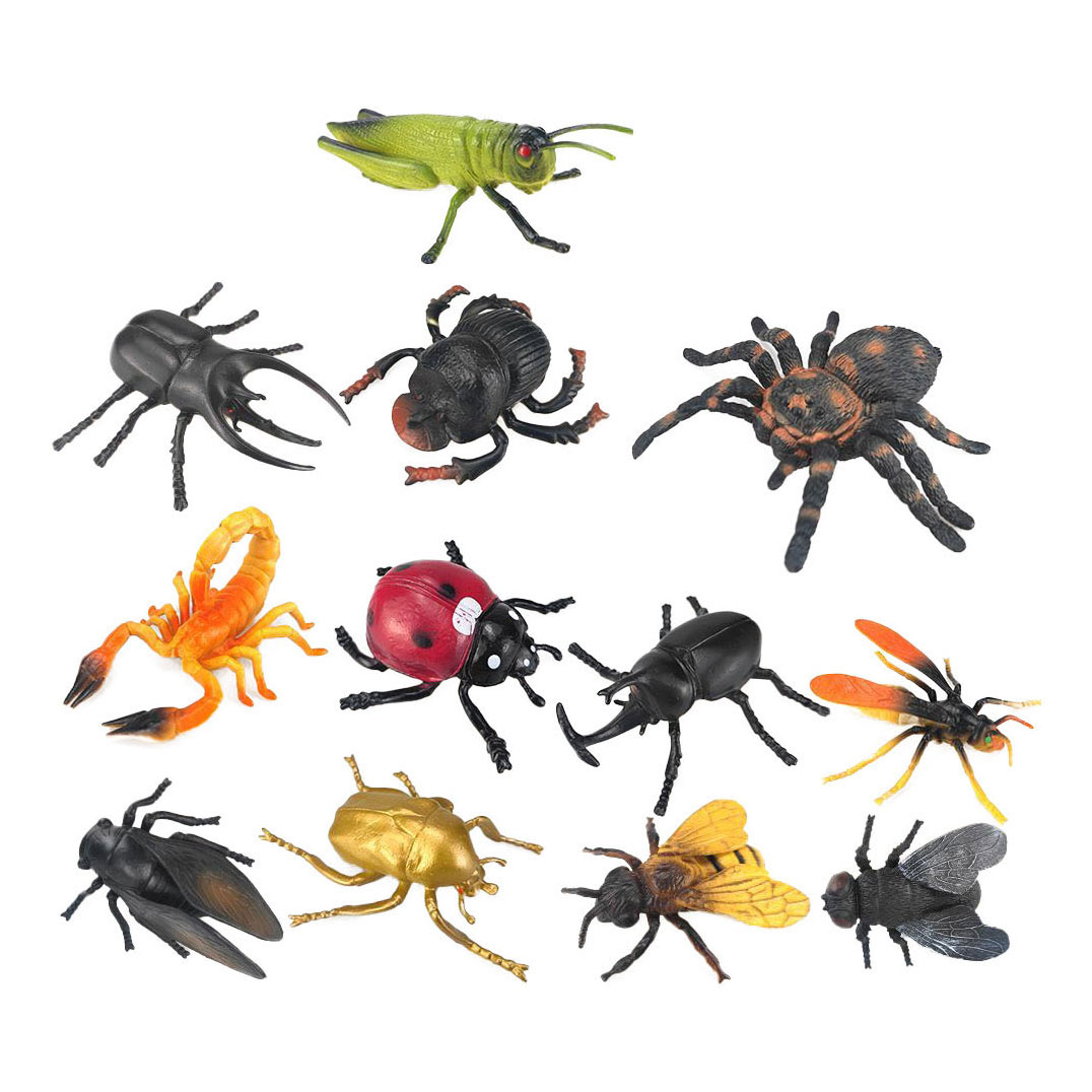 Insectes, 6 pcs