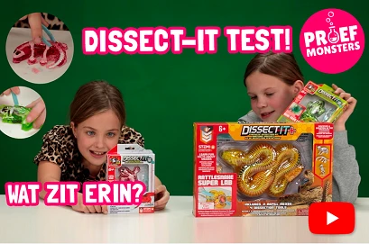 Afbeelding voor Bekijk de video's