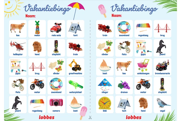 Afbeelding voor Download gratis de Lobbes Vakantiebingo!