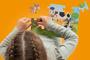 Afbeelding voor Legpuzzels