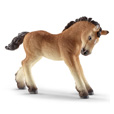 Paarden